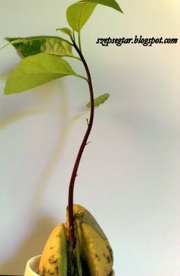 20090901268.jpg