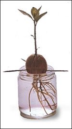 268_1999_3.jpg