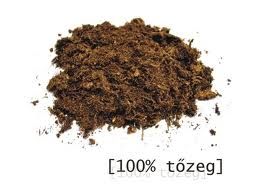 abcd.jpg