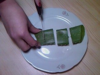 aloe.jpg