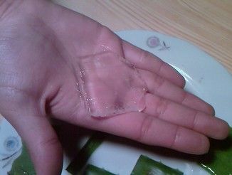 aloe2.jpg