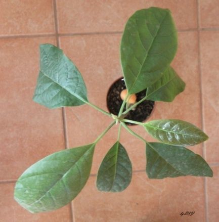 image7.jpeg
